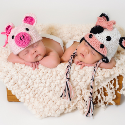 ikiz bebekler hakkında ilginç bilgiler