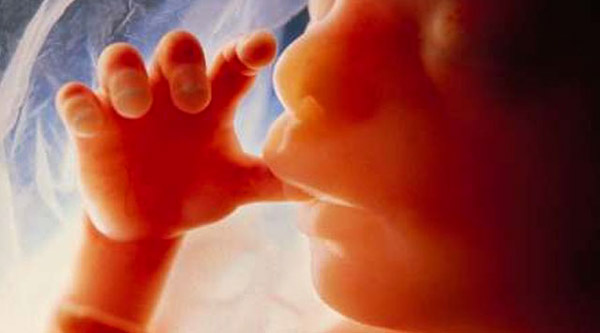 anne karnında bebek ne zaman hareketlenir 