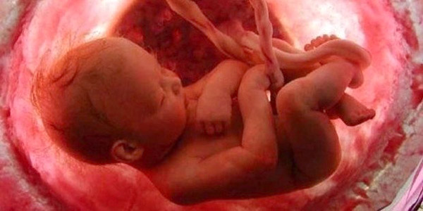 anne karnında bebeğin hareketleri 