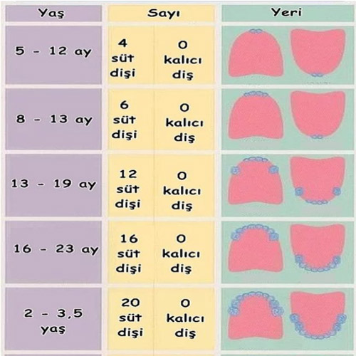 bebek bakımı hakkında pratik bilgiler