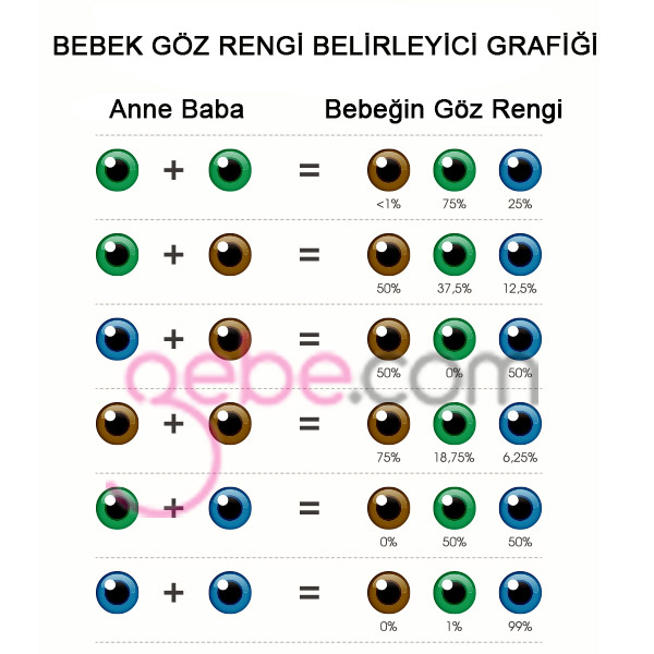 Bebek Göz Rengi Testi 2017