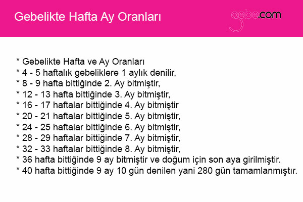 gebelik haftası kaçıncı-ay
