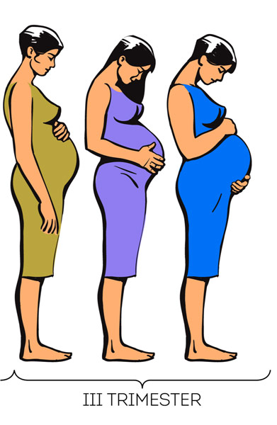 gebelikte-3.-Trimester