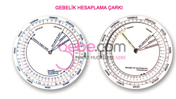 gebelik haftası hesaplama hamilelik çarkı