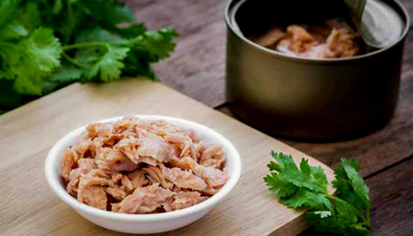 Hamilelikte ton balığı tüketimi