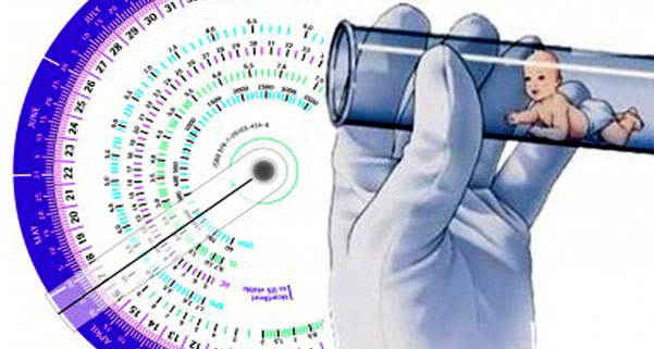 tüp bebekte hamilelik haftası nasıl hesaplanır