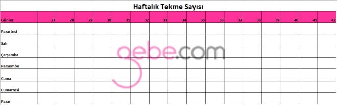 anne karnındaki bebeğin tekme sayısı