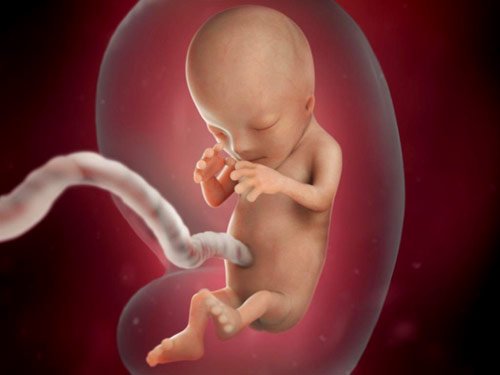 12 haftalık bebek gelişimi