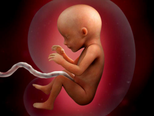 17 haftalık bebek gelişimi