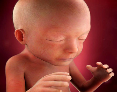 21 haftalık bebek gelişimi