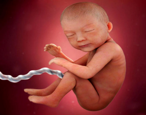 30 haftalık bebek gelişimi