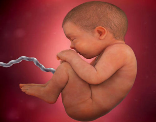 40 haftalık bebek gelişimi
