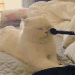 hamile olduğunu belli etmek