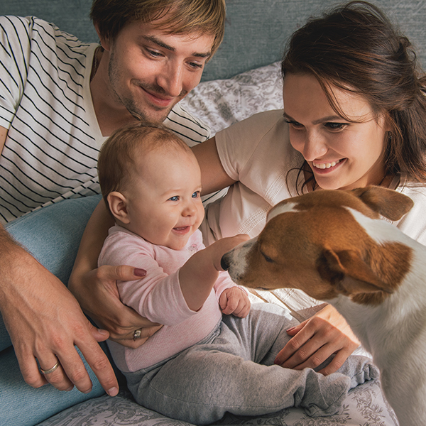 Bebek Olan Bir Evde Hayvan Beslenir Mi?