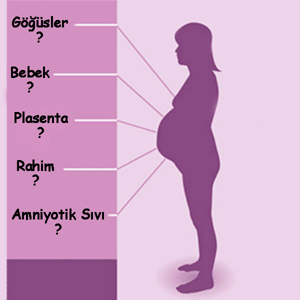 Gebelikte Aldığımız Kilolar Nereye Gidiyor?