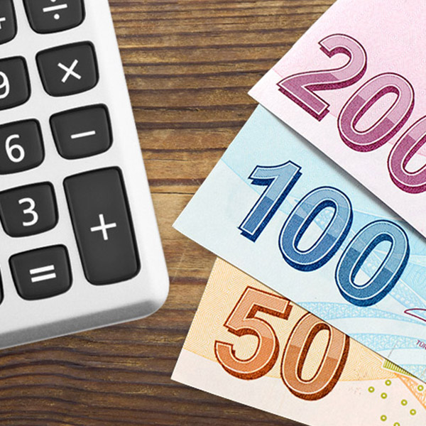 2020 Yılında Doğum Yapan Annelerin Eline Ne Kadar Para Geçecek?