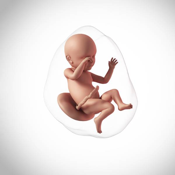 Gebelikte Amniyon Sıvısının Azalması: Neden Olur, Nasıl Tedavi Edilir?