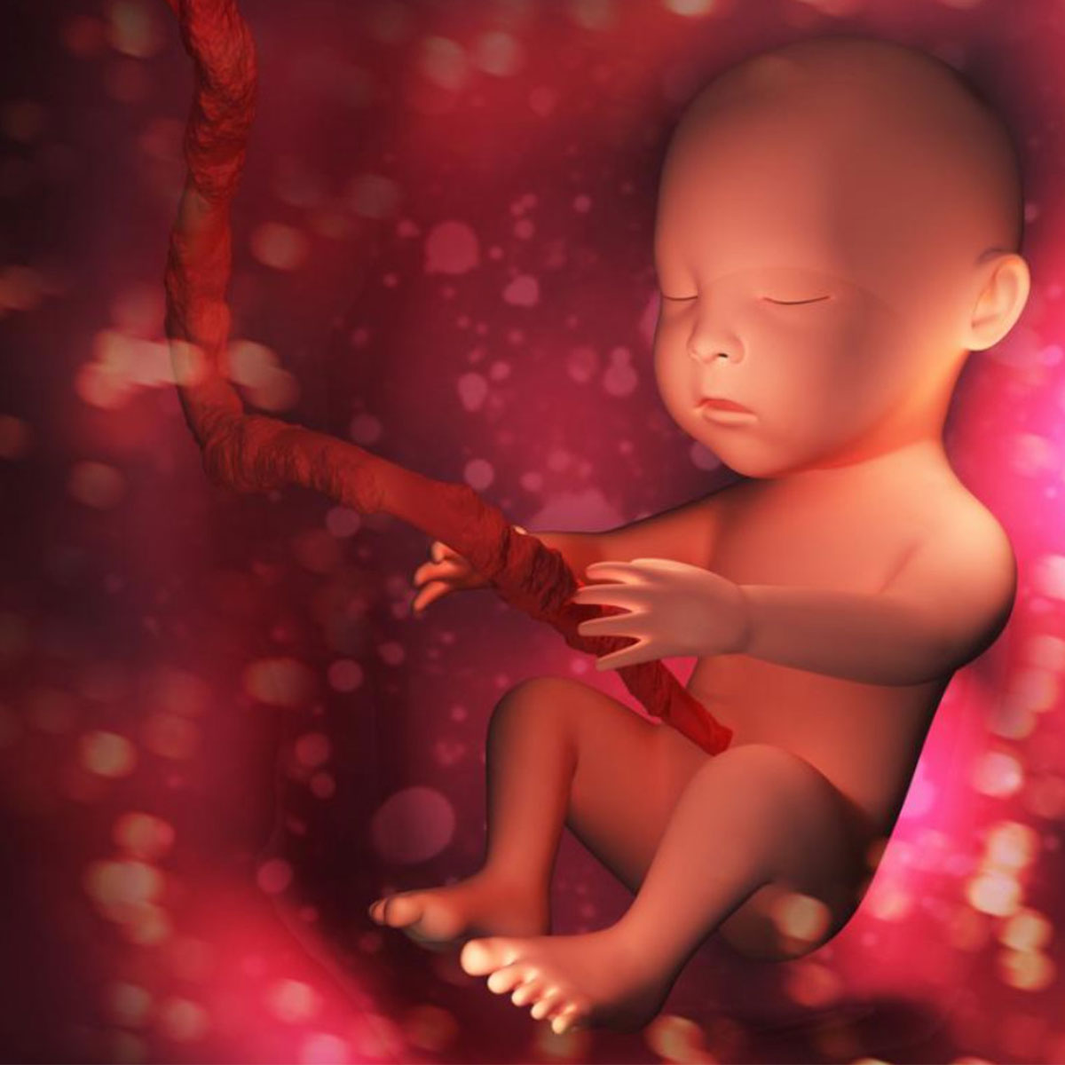 Anne Karnındaki Bebekler Nasıl Beslenir?