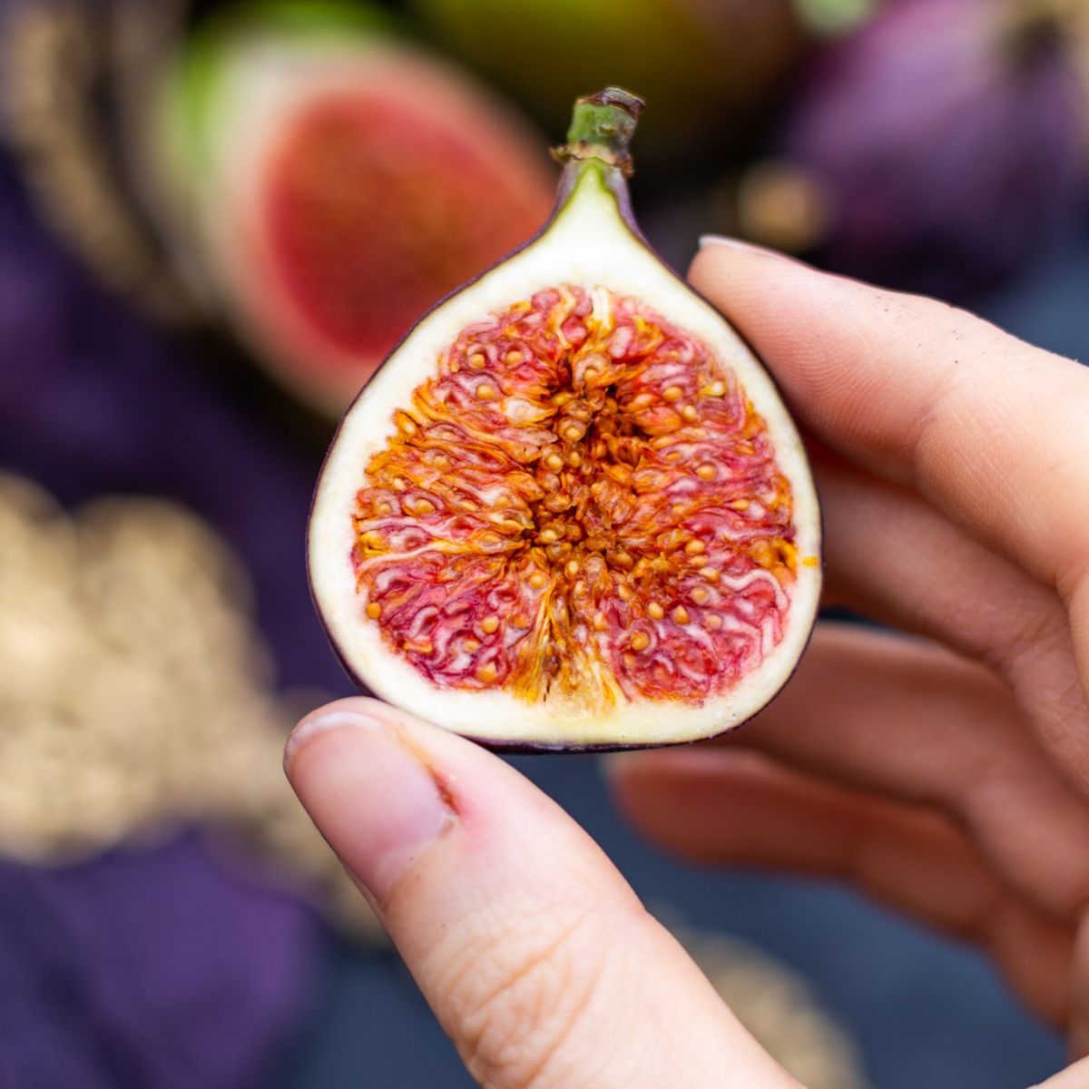 Hamilelikte İncir Yenir Mi? Gebelikte İncir Yemenin Faydaları