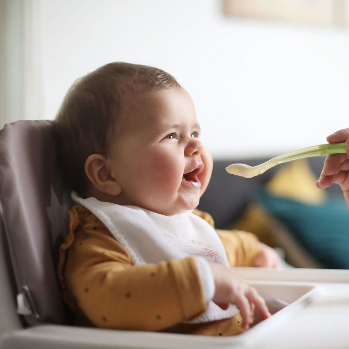 Bebekler İçin Zeytinyağlı Taze Fasulye Yemeği Tarifi