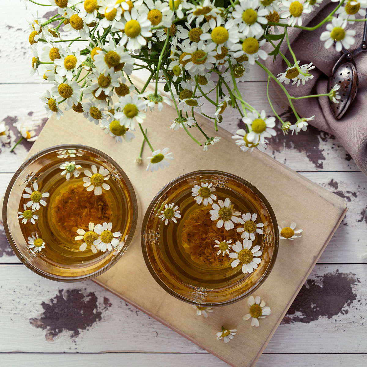 Bebeklere Papatya Çayı Verilir Mi? Faydaları, Dozu Ve Yan Etkileri