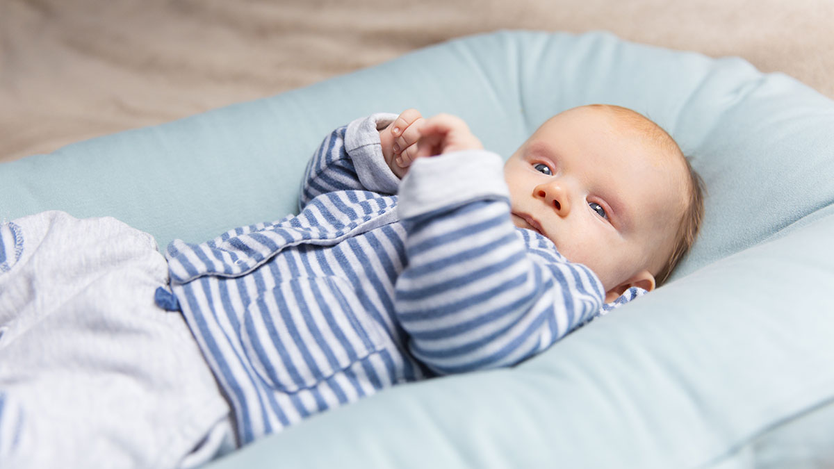 Kuzey İsminin Anlamı Ve Kökeni Nedir? Kuran’da Geçiyor Mu?